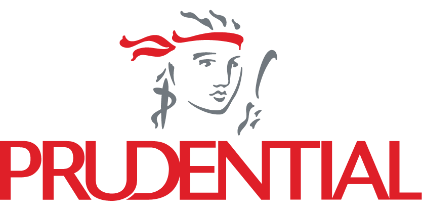 Partner 17
